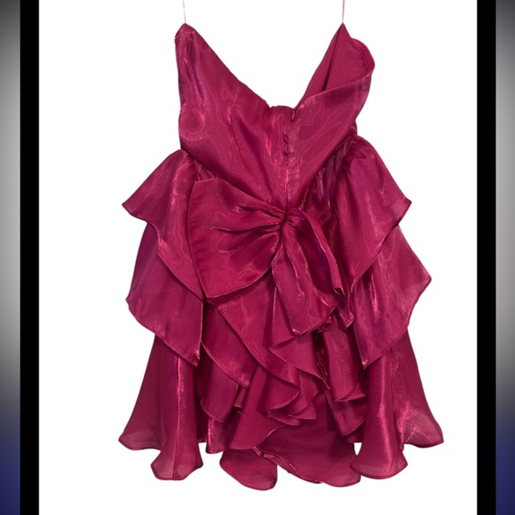 NWT Storia Fuchsia Ruffle Skirt Mini Dress - Picture 5 of 6